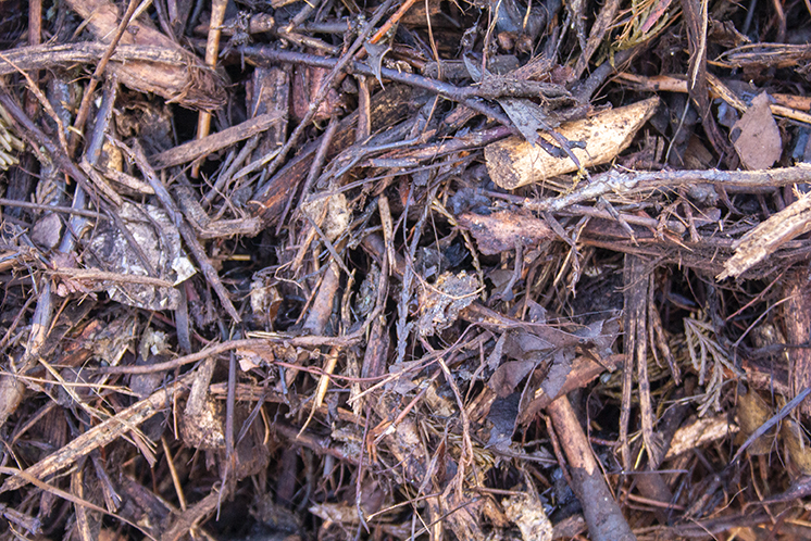 composter en hiver_compostond_compost_broyat_achat